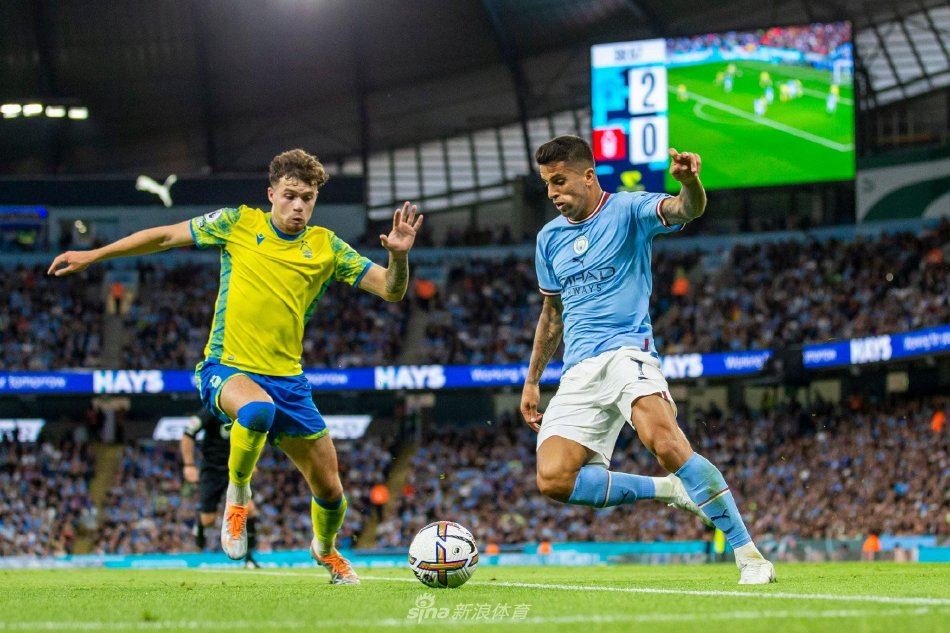 回肠的逆转 回肠的逆转